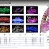 FOCOS Y TIRAS DE LED - Imagen 4